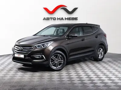 «Авто на Неве»