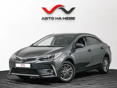 «Авто на Неве»