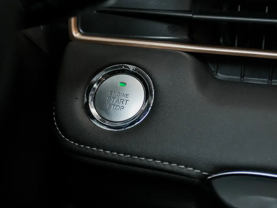 «Авто на Неве»