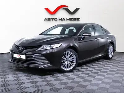 «Авто на Неве»