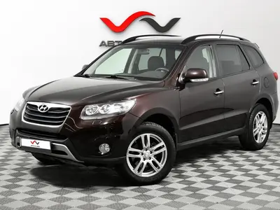 «Авто на Неве»