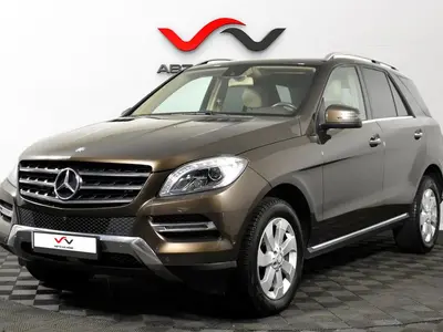 «Авто на Неве»