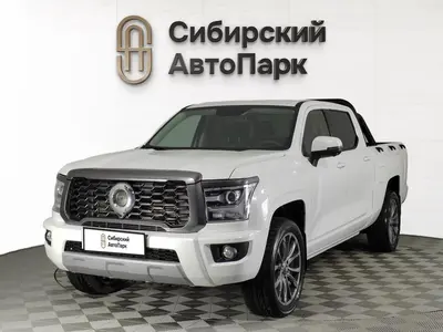 Great Wall Poer King Kong