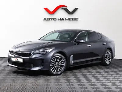 «Авто на Неве»