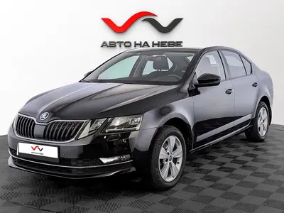 «Авто на Неве»