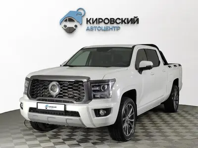 Great Wall Poer King Kong