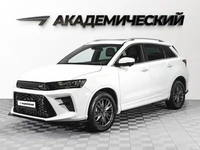 SWM G01F
