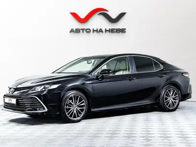 «Авто на Неве»