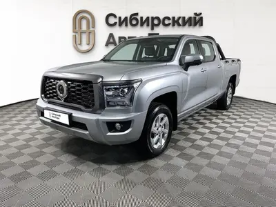 Great Wall Poer King Kong