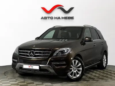 «Авто на Неве»