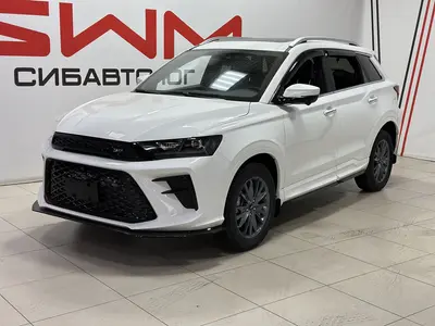 SWM G01F